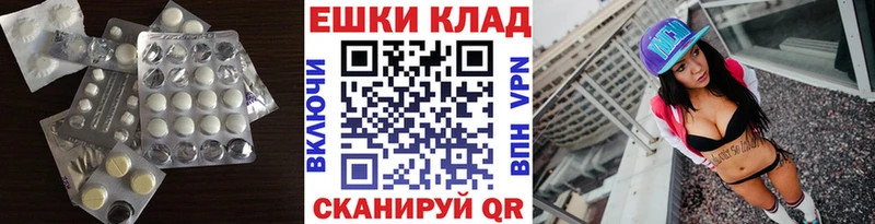 KRAKEN   Горячеводский  Ecstasy бентли 